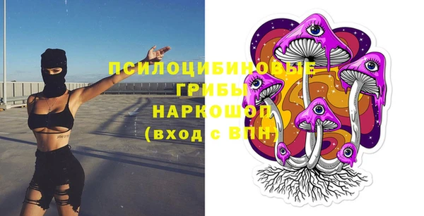 дживик Каменск-Шахтинский