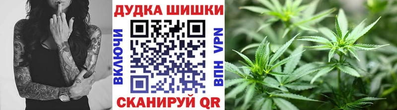 Канабис план  Кирсанов 